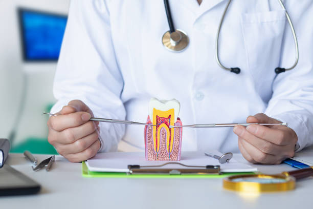 Best Emergency Cosmetic Dentistry (e.g., broken veneers) in Granger, TX